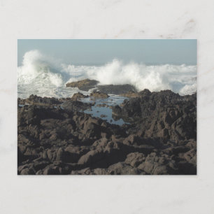 Brookings, Oregon Postcard Postkarte