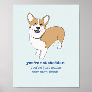 Brooklyn 99 Cheddar Poster