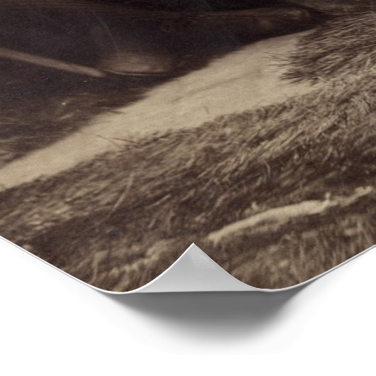 Brooklyn Baseball Team, 1889 Poster (Ecke)