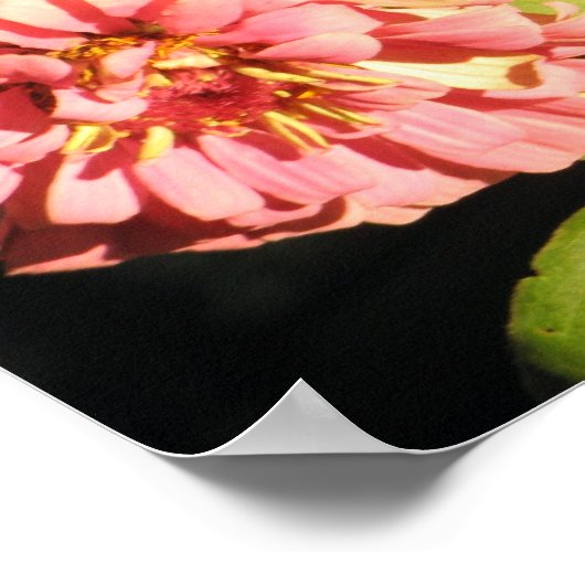 Brooklyn Bouquet Poster (Ecke)