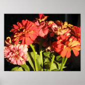 Brooklyn Bouquet Poster (Vorne)