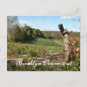 Brooklyn, Ct Postkarte