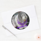 BROOKLYN LILA HAWAII STICKER (Umschlag)