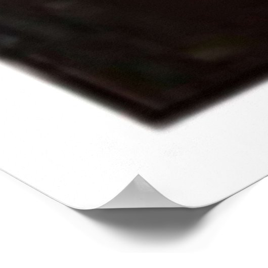 Brooklyn Nine Raymond Holt Portrait Print Poster (Ecke)