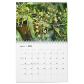 Brooklyn Orchids 2026 Calendar Kalender (Mär 2026)