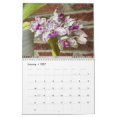 Brooklyn Orchids 2026 Calendar Kalender (Jan 2027)
