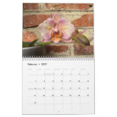 Brooklyn Orchids 2026 Calendar Kalender (Feb 2027)