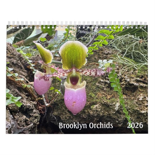 Brooklyn Orchids 2026 Kalender (Titelbild)