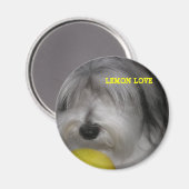 BROOKLYN REGELN LEMON LIEBE MAGNET (Vorderseite/Rückseite)