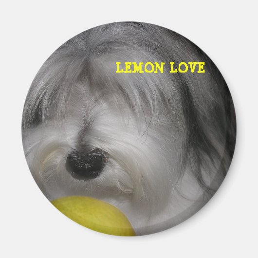 BROOKLYN REGELN LEMON LIEBE MAGNET (Vorne)