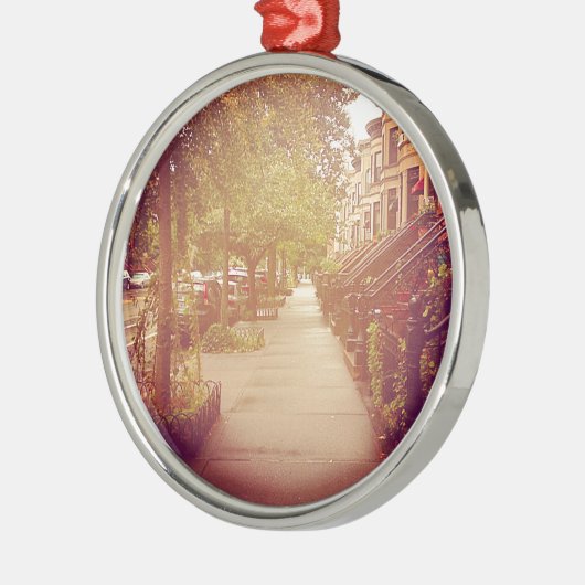 Brooklyn Silbernes Ornament (Links)