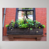 Brooklyn Window Poster (Vorne)