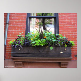 Brooklyn Window Poster