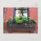 Brooklyn Window Postkarte (Vorderseite)