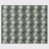 Brooklyn's Garden Party - Weimaraner Hund Geschenkpapier (Flach)