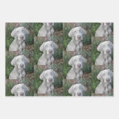 Brooklyn's Garden Party - Weimaraner Hund Geschenkpapier Set (Vorderseite)