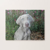 Brooklyn's Garden Party - Weimaraner Hund Puzzle (Horizontal)
