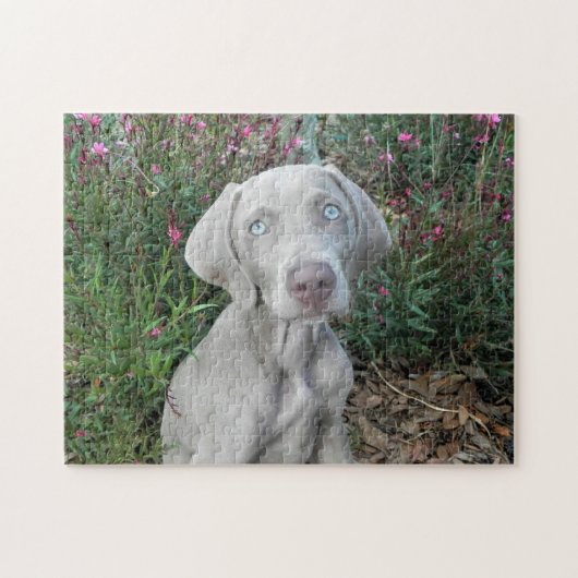 Brooklyn's Garden Party - Weimaraner Hund Puzzle (Horizontal)