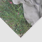 Brooklyn's Garden Party - Weimaraner Hund  Seidenpapier (Ausschnitt)