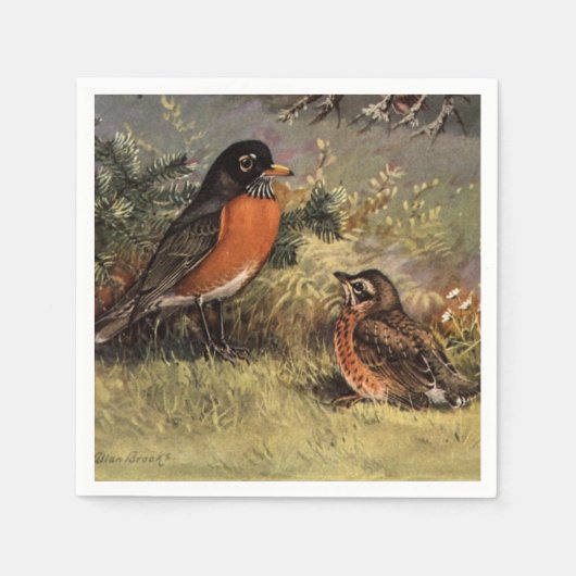 Brooks' American Robins Serviette (Vorderseite)
