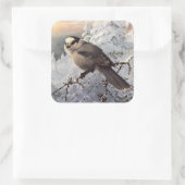 Brooks' Grau-Jay im Schnee Quadratischer Aufkleber (Tasche)