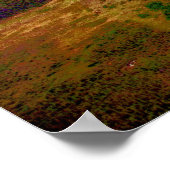 Brooks Mountain Range, Arctic Alaska Poster (Ecke)