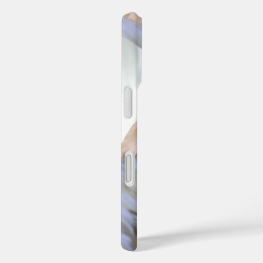 Brooks Range Caribbean Case-Mate iPhone Hülle (Rückseite / Rechts)