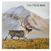 Brooks Range Caribbean Fliese (Vorderseite)