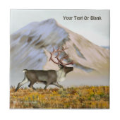 Brooks Range Caribbean Fliese (Vorderseite)