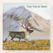 Brooks Range Caribbean Glasuntersetzer (Vorderseite)