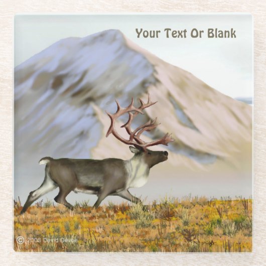 Brooks Range Caribbean Glasuntersetzer (Vorderseite)