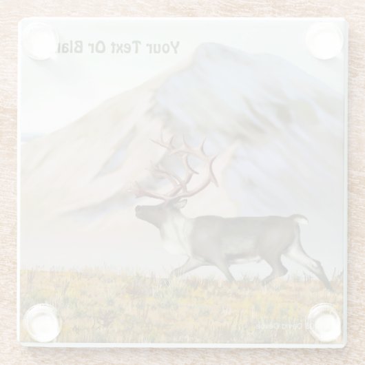 Brooks Range Caribbean Glasuntersetzer (Rückseite)