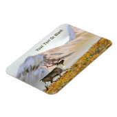 Brooks Range Caribbean Magnet (Linke Seite)