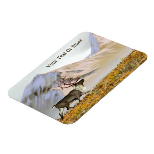 Brooks Range Caribbean Magnet (Linke Seite)