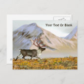 Brooks Range Caribbean Postkarte (Vorne/Hinten)