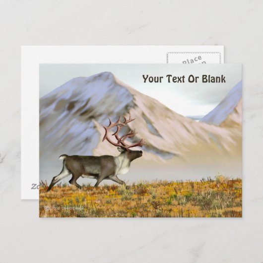 Brooks Range Caribbean Postkarte (Vorne/Hinten)