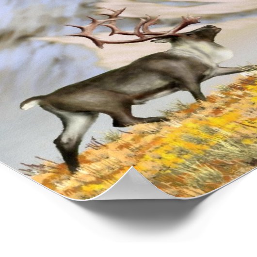 Brooks Range Caribou Poster (Ecke)