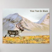 Brooks Range Caribou Poster (Vorne)