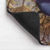 Brooks' Steller's Jay Mousepad (Ecke)