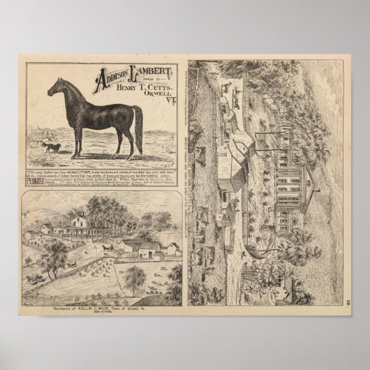 Brookside Dairy Farm Poster (Vorne)