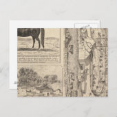 Brookside Dairy Farm Postkarte (Vorne/Hinten)