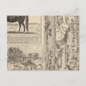 Brookside Dairy Farm Postkarte (Vorderseite)