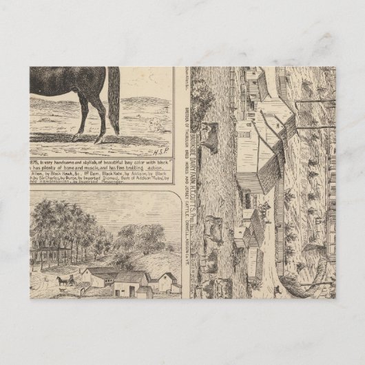 Brookside Dairy Farm Postkarte (Vorderseite)