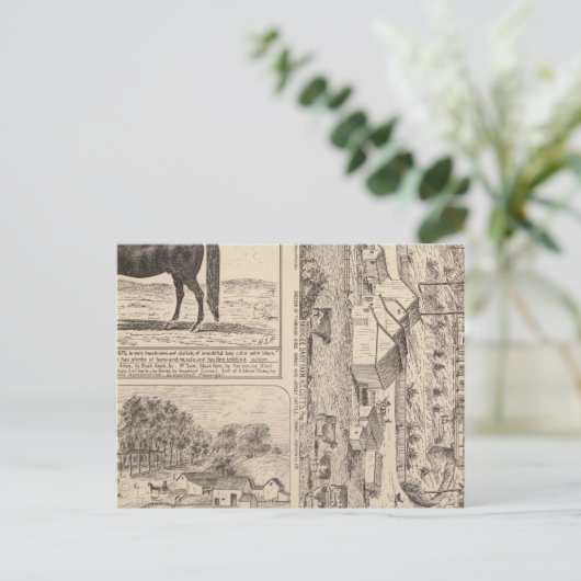 Brookside Dairy Farm Postkarte (Stehend Vorderseite)