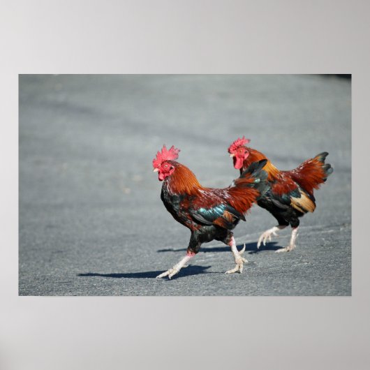 "Bros On a Stroll" Poster (Vorne)
