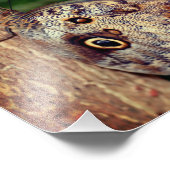 Broschüre Nah 8x8 Fotodruck (Ecke)