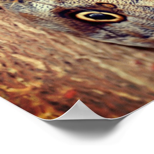 Broschüre Nah Poster (Ecke)