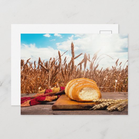 Brot im Weizenfeld Postkarte (Vorne/Hinten)