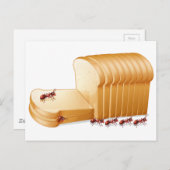 Brot und Ameisen Postkarte (Vorne/Hinten)