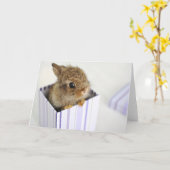 Brötchen im Kasten! Karte (Gelbe Blume)